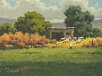 McGinty Farmington Sheep